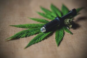 Huile de CBD française : Comment la traçabilité garantit la pureté de vos cannabinoïdes